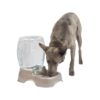 Petmate Pet Cafe Waterer Cat and Dog Water Dispenser 4 Sizes, 3 GAL, Pearl Tan, Made in USA 51 71QTsaHD4uL