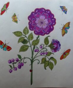 Secret Garden: An Inky Treasure Hunt and Coloring Book for Adults 75 71QU0v 15L