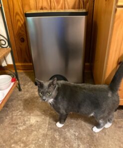 Simplehuman 50 Liter / 13.0 Gallon Rectangular Kitchen Step Trash Can, Brushed Stainless Steel 50 Liter Trash Can 35 71QXc1JUqGL