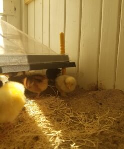 Premier Chick Brooder Heating Plate - 16" x 24" 35 71QXyky YlL