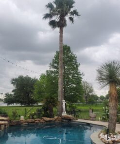 Keeper 06119 Adjustable Flat Bungee Cord, Multicolor 1 Count (Pack of 1) 29 71QZ0d L5nL