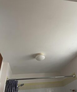 MOLD ARMOR Mold and Mildew Killer + Quick Stain Remover, 32 oz., Trigger Spray Bottle, Eliminates 99.9% of Household Bacteria and Viruses, Ideal Bathroom Mold and Mildew Remover 43 71QZ4UctvFL