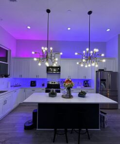 Philips Hue Smart Play Light Bar Base Kit, Black - White & Color Ambiance LED Color-Changing Light - 2 Pack - Requires Bridge - Control with App - Works with Alexa, Google Assistant and Apple HomeKit 2-Pack with Plug 49 71Qd9WHHiVL 1