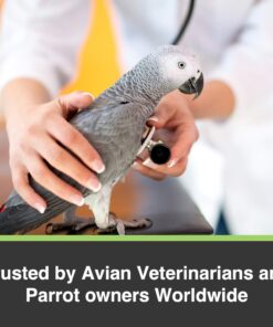 HARI Tropican Bird Food, Hagen Parrot Food with Peanuts & Sunflower Seeds, Maintenance Parrot Granules, Lifetime Formula, 1.8 lb Bag 1.8 Pound (Pack of 1) 14 71Qfo4YrNXL