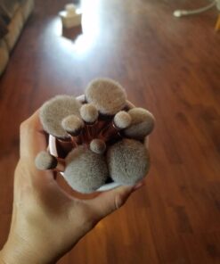 Kabuki Makeup Brush Set - Foundation Powder Blush Concealer Contour Brushes - Perfect For Liquid, Cream or Mineral Products - 10 Pc Collection With Premium Synthetic Bristles For Eye and Face Cosmetic Rose 49 71Qg0MlSHEL