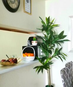 Nearly Natural 6596 6ft. Dracaena Silk Plant (Real Touch),Green 43 71QgtC9O6yL