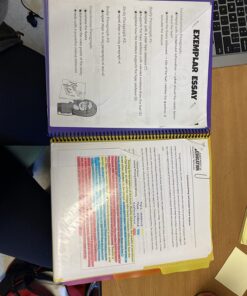 Smead Project Organizer, 24 Pockets, Grey with Assorted Bright Tabs, Tear Resistant Poly Material, 1/3-Cut Tabs, Letter Size (89206) 24 Pocket Yellow, Pink, Lime, Blue, Purple 33 71QkGIZUxxL