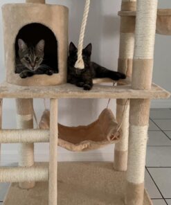 Go Pet Club Classic Cat Tree, Faux Fur Finish, Sisal Rope Scratcher, 62"H, Beige 55 71QngAYKuUL