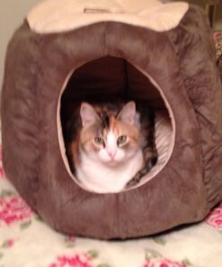 Armarkat Cat Bed, Laurel Green and Beige 59 71Qoo4mZqcL