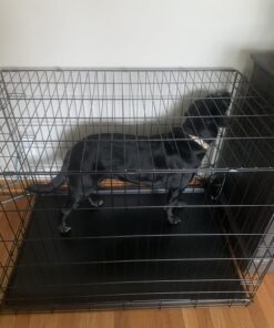 MidWest Homes for Pets Newly Enhanced Single Door iCrate Dog Crate, Includes Leak-Proof Pan, Floor Protecting Feet, Divider Panel & New Patented Features 40 71Qpj4vwUML 2