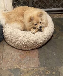 DentaLife Made in USA Facilities Small/Medium Dog Dental Chews, Daily - 40 ct. Pouch 40 Count (Pack of 1) 37 71Qua FDXDL