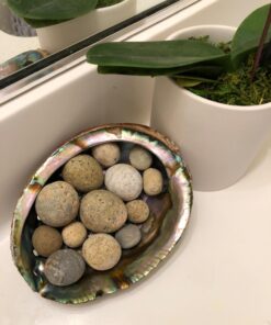 Hand Selected Abalone Shell, 6 Inches or Larger. Perfect for Holding Incense, Trinkets, and More 38 71QyxMWpOXL