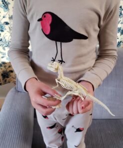 Dinosaur Excavation Kits for Kids,Dino Dig Kits T-Rex,Triceratops and Diplodocus,Dinosaur Fossil Excavation Kits,Children's Popular Science Education Toys - Dinosaur DIY Toys(Three-Piece Suit) 25 71R SdPn09L