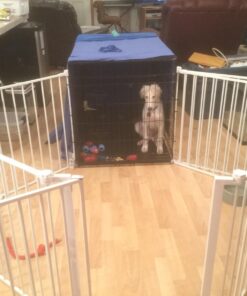 Dog Crates for Extra Large Dogs - XXL Dog Crate 48" Pet Cage Double-Door Best for Big Pets - Wire Metal Kennel Cage & Tray - in-Door Foldable & Portable for Animal Out-Door Travel 48.0"L x 29.0"W x 32.0"H 29 71R rlLM4vL 1