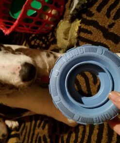 KONG Puppy Tires - Durable Puppy Chew Toy - Soft Rubber Treat Toys for Puppies & Dogs - Stuffable Dog Chew Toy - Puppy Teething Toy for Fetch & Mental Enrichment - Tire Chew Toy - Medium/Large Puppies 49 71R2QenTcTL