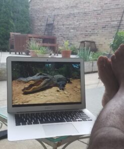 Best Choice Products 9ft Adjustable Mosquito Net for Umbrellas 7.5-11ft, Bug Screen Patio Umbrella Accessory for Outdoor Market Offset Cantilever w/Polyester Mesh Net, Zipper Door, Fillable Base 43 71R2osrpgwL