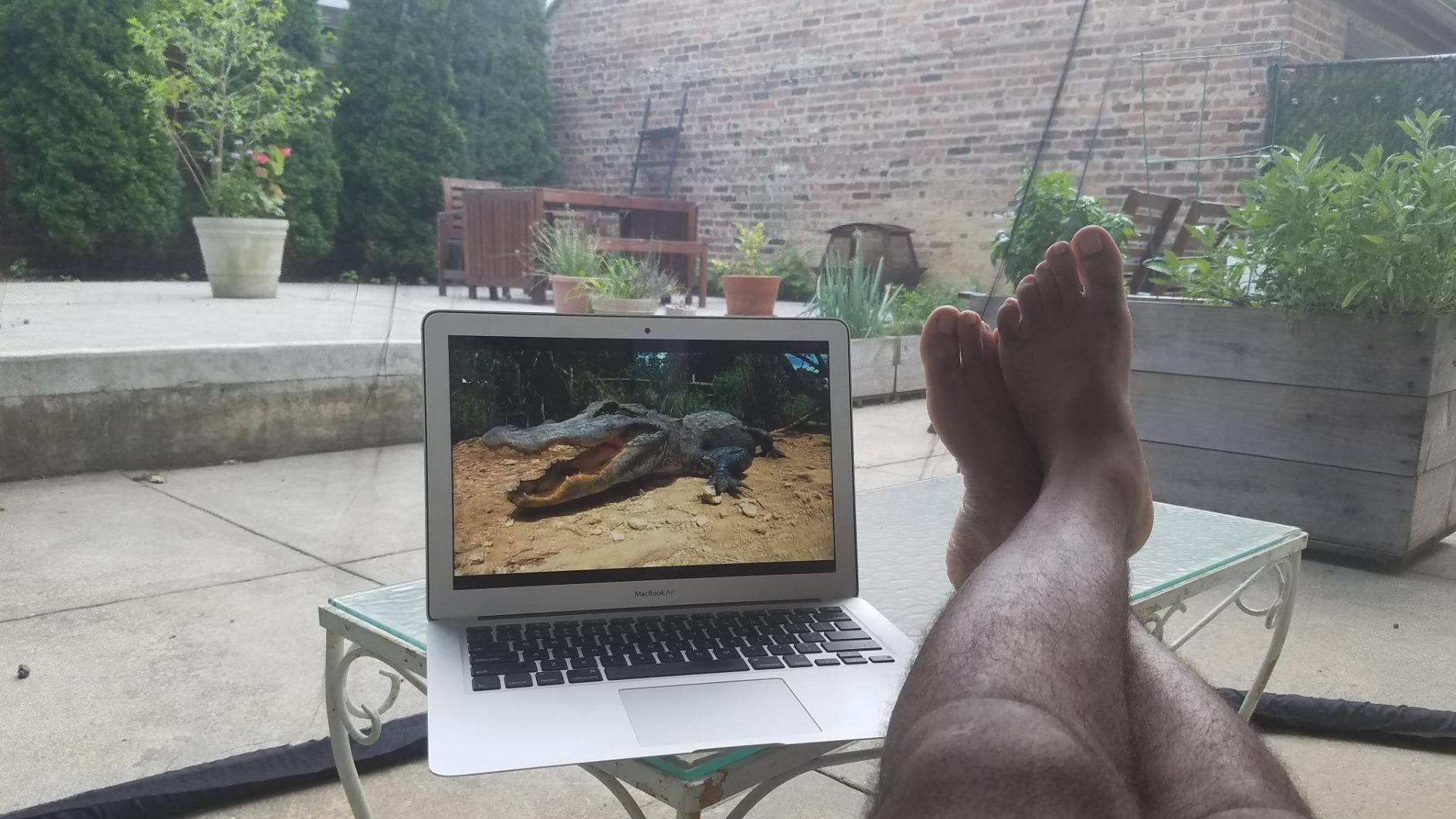 Best Choice Products 9ft Adjustable Mosquito Net for Umbrellas 7.5-11ft, Bug Screen Patio Umbrella Accessory for Outdoor Market Offset Cantilever w/Polyester Mesh Net, Zipper Door, Fillable Base 21 Best Choice Products 9ft Adjustable Mosquito Net for Umbrellas 7.5-11ft, Bug Screen Patio Umbrella Accessory for Outdoor Market Offset Cantilever w/Polyester Mesh Net, Zipper Door, Fillable Base - Image 21