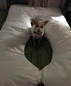 Pregnancy Pillow, Full Body Maternity Pillow with Contoured U-Shape by Bluestone, Back Support 60 x 35 x 7" Pillow & Pillowcase White 32 71R6Z3I2AqL