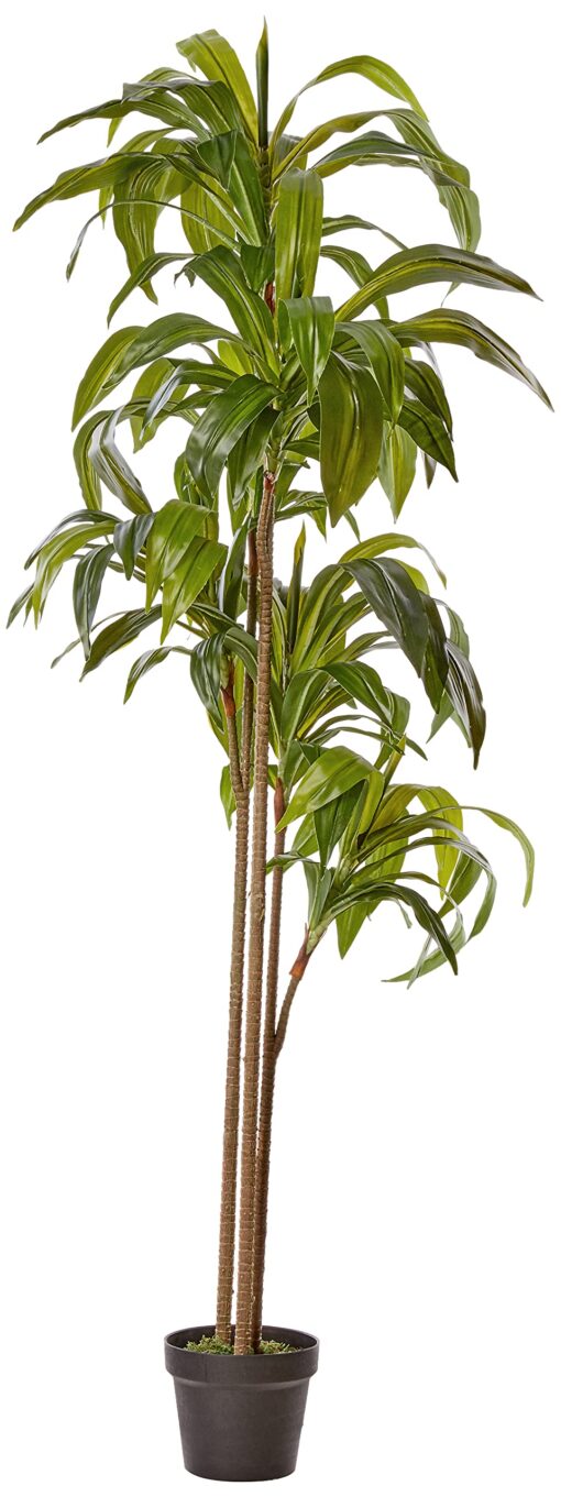 Nearly Natural 6596 6ft. Dracaena Silk Plant (Real Touch),Green