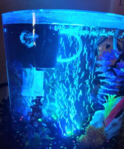 Tetra ColorFusion Starter aquarium Kit 3 Gallons, Half-Moon Shape, With Bubbler And Color-Changing Light Disc 60 71R8cgtuNTL