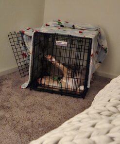 MidWest Homes for Pets Newly Enhanced Single Door iCrate Dog Crate, Includes Leak-Proof Pan, Floor Protecting Feet , Divider Pane l & New Patented Features Medium 44 71R8oNHYWWL