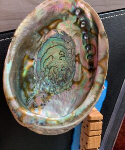 Hand Selected Abalone Shell, 6 Inches or Larger. Perfect for Holding Incense, Trinkets, and More 39 71RFO9pOUgL