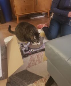 Suck UK Cat Scratcher ; Dj Cat Scratch Turntable ; Cardboard Cat House ; Cat Scratch Pad ; Cat Scratcher House & Cat Playhouse ; Novelty Interactive Cat Toys For Indoor Cats ; Funny Cat Accessories 38 71RGmR0t0dL