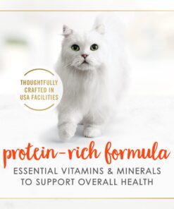 Purina Fancy Feast Salmon Feast Classic Grain Free Wet Cat Food Pate - (24) 3 oz. Cans 3 Ounce (Pack of 24) 22 71RJF6EMFqL