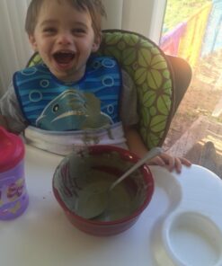 Garden of Life Raw Organic Perfect Food Green Superfood Juiced Greens Powder - Original Stevia-Free, 30 Servings, Non-GMO, Gluten Free Whole Food Dietary Supplement, Alkalize, Detoxify, Energize 30 Servings (Pack of 1) 32 71RLhRsNeYL