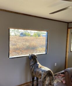 ZIP System Huber Flashing Tape | Self-Adhesive Flashing for Doors-Windows Rough Openings (3.75" x 30') 3.75" x 30' 16 71RLifZkD5L