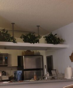 Nearly Natural 15in. Pothos Ledge Plant (Set on Foam) Silk Plant,Green 34 71RMG9FMoL