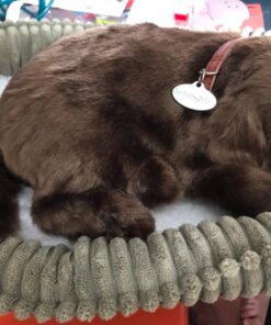 Alternative view of Perfect Petzzz Huggable Breathing Puppy Dog Pet Bed Chocolate Lab