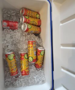 Coleman Chiller Series 48qt Insulated Portable Cooler, Hard Cooler with Ice Retention & Heavy-Duty Handles, Great for Camping, Tailgating, Beach, Picnic, Groceries, Boating & More Blue 31 71RMVwsqGNL