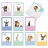The Best Card Company - 10 Blank Dog Cards Assorted (4 x 5.12 Inch) - Adorable Boxed Animal Note Cards for All Occasions - Dogs & Doodles M6582OCB 3 71ROfn3uhbL