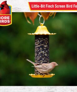 Alternative view of More Birds Yellow Screen SeedFeed Pack of 1