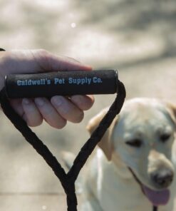 Dual Dog Leash - Double Dog Leash for Two Dogs - Tangle Free - Heavy Duty Double Ended Tandem Leash with Padded Handle for Small Medium or Large Dogs Black 24 71RW wjtZ7L