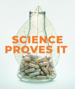 PreMense-T - Proactive PMS Relief Supplement - Support for Hormonal Imbalance, Bloating, Cramping & Breast Tenderness - Ginger, Crampbark, Dong Quai, Chasteberry & Vitamin B6-60 Capsules 19 71RZNwMmWqL