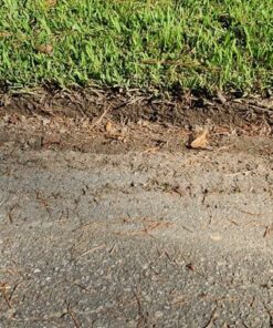 Greenworks 12 Amp Electric Corded Edger 27032 32 71Rb3C5WFcL