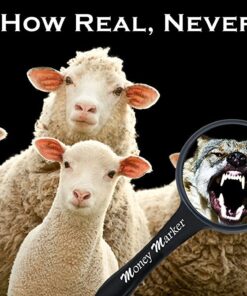 Money Marker (12 Counterfeit Pens) - Counterfeit Bill Detector Pen with Upgraded Chisel Tip - Detects Fake Counterfit Bills, Universal Currency Detectors Pack 15 71RduYsgQrL 1