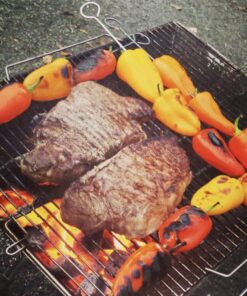 Quick Grill Medium: Original Folding Charcoal BBQ Grill Made from Stainless Steel/Carrying Bag for Backpacking Included / 29 71Rg80ErMmL