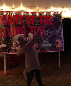 Rasta Imposta Hammerhead Shark Standard Grey 36 71Rkbh0IEhL