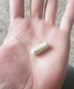 Vitamin Bounty Pro-Daily Probiotic - 13 Probiotic Strains, Gut Health, Digestive Health, Including Lactobacillus Acidophilus, Probiotic for Women and Men (Pro-25 Probiotics) Pro-25 Probiotics 32 71Rmb1mBcL