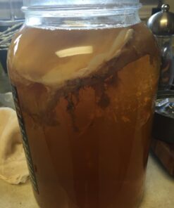 Pakkon Wide Mouth Glass Mason Jar with PlasticLid/Ferment & Store Kombucha Tea or Kefir/Use for Canning, Storing, Pickling & Preserving Dishwasher Safe, Airtight Liner Seal, 1 gallon 31 71RqmsyLLXL