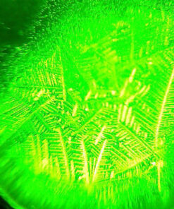 Fairhaven Health Fertile Focus Ovulation Test Kit - Women's Fertility Tracker and Predictor - 3 Days in Advance - Ovulation Kit - Accurate, Reusable Home Saliva Test - Results in Five Minutes 45 71RreGu8hWL