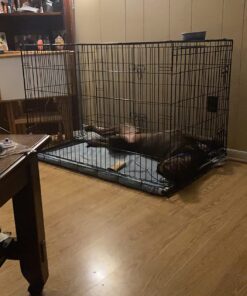 Dog Crates for Extra Large Dogs - XXL Dog Crate 48" Pet Cage Double-Door Best for Big Pets - Wire Metal Kennel Cage & Tray - in-Door Foldable & Portable for Animal Out-Door Travel 48.0"L x 29.0"W x 32.0"H 35 71RsYIwgUxL 1