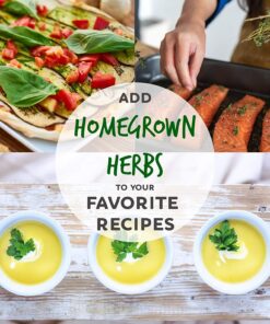 12 Culinary Herb Seeds Assortment - Non-GMO Herb Garden Starter Set - Grow Cooking Herbs: Parsley, Thyme, Cilantro, Basil, Dill, Oregano, Sage & More 32 71Rsnj0CinL 3