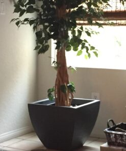 Nearly Natural 6' Palace Style Silk Artificial Ficus Tree, 6ft, Green 5216 6 ft 40 71RuXw9AiZL