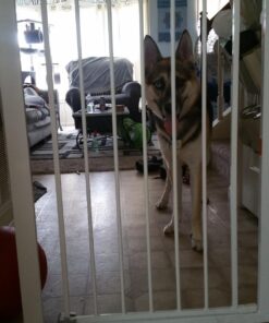 Safety 1st Easy Install 36" Extra Tall & Wide Gate, Fits Between 29'"And 47" 1 Count (Pack of 1) Extra Tall and Wide White 44 71RvPGtHl3L