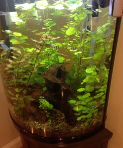 Seachem Flourish Potassium 500ml One size 39 71Rxn6tZHbL