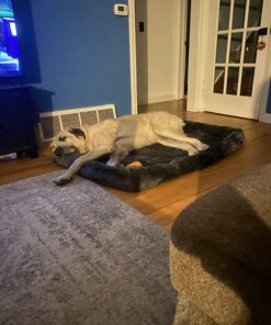 MidWest Homes for Pets 54L-Inch Gray Dog Bed or Cat Bed w/ Comfortable Bolster | Ideal for Giant Dog Breeds (Great Dane / Mastiff) & Fits a 54-Inch Dog Crate Grey 25 71S CRicduL